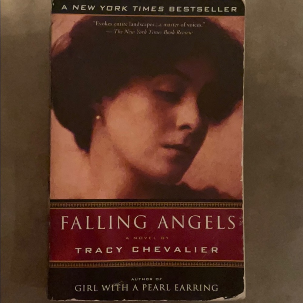 📚 5/$10 Falling Angels-Tracy Chevalier